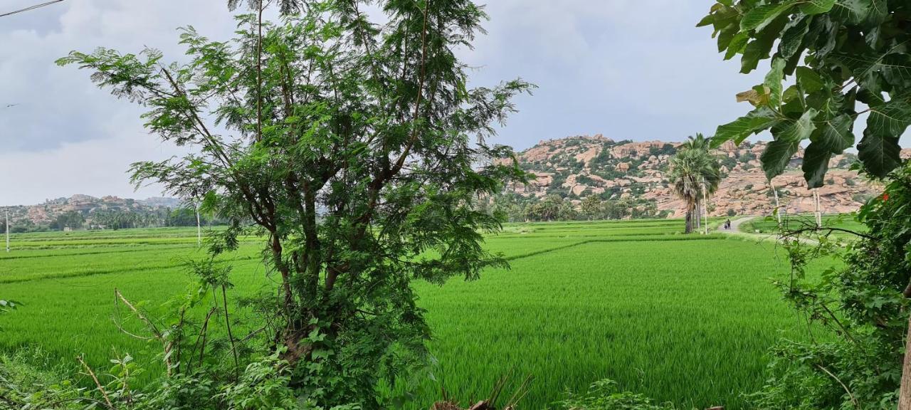 Jungle Tree Hampi Hotel Екстериор снимка